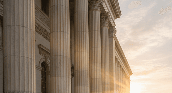 Government & Public Sector